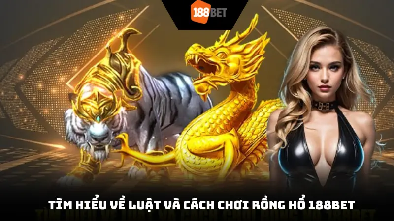 Tìm hiểu về luật và cách chơi Rồng Hổ 188bet