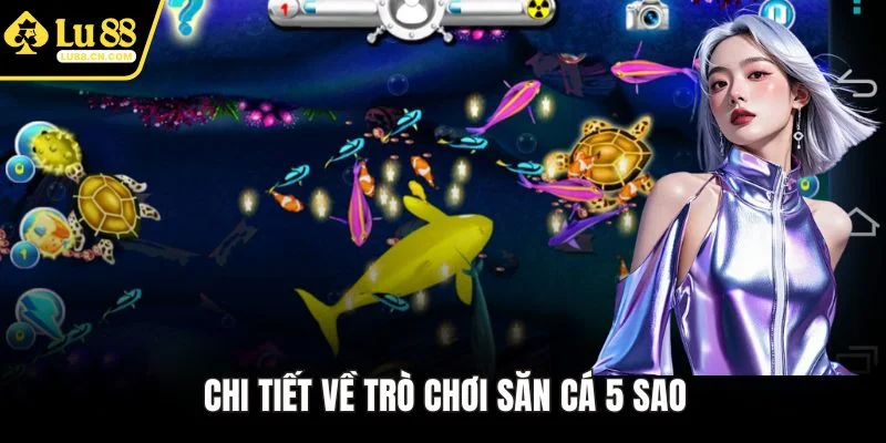 Chi tiết về trò chơi săn cá 5 sao Chi tiết về trò chơi săn cá 5 sao