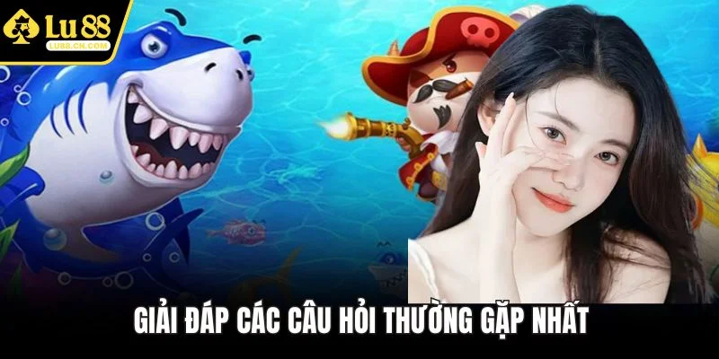 Giải đáp các câu hỏi thường gặp nhất Giải đáp các câu hỏi thường gặp nhất