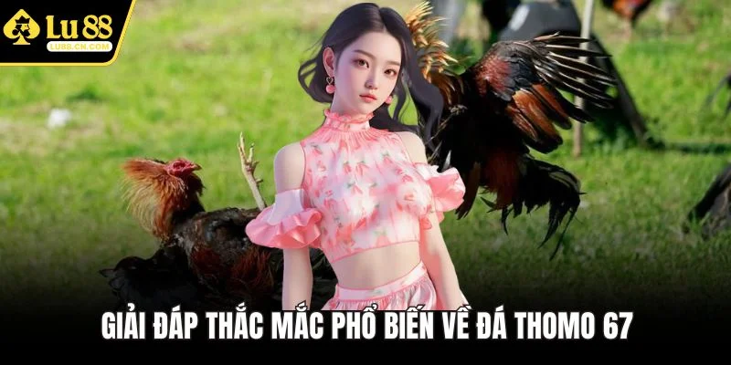 Giải đáp thắc mắc phổ biến về đá Thomo 67 Giải đáp thắc mắc phổ biến về đá Thomo 67