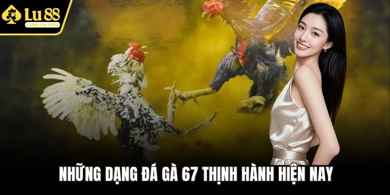Những dạng đá gà 67 thịnh hành hiện nay Những dạng đá gà 67 thịnh hành hiện nay