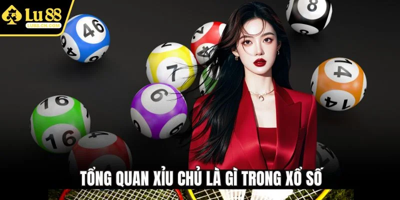 Tổng quan xỉu chủ là gì trong xổ số Tổng quan xỉu chủ là gì trong xổ số